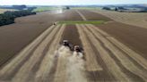 Sur de Brasil cosecha cantidad récord de soja para compensar la mala cosecha del centro-oeste