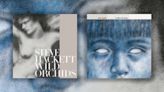 Steve Hackett's To Watch The Storms and Wild Orchids get debut vinyl releases