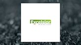 Excelsior Mining (TSE:MIN) Stock Price Down 7.7%