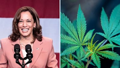 Kamala Harris Admits 'I Inhaled' Marijuana And Now Pushes For Legalization: What This Means For 2024 Elections