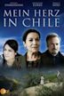 Mein Herz in Chile