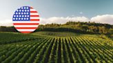 Las dos variables que amenazan la industria del vino norteamericano en el 2024 | Noticias