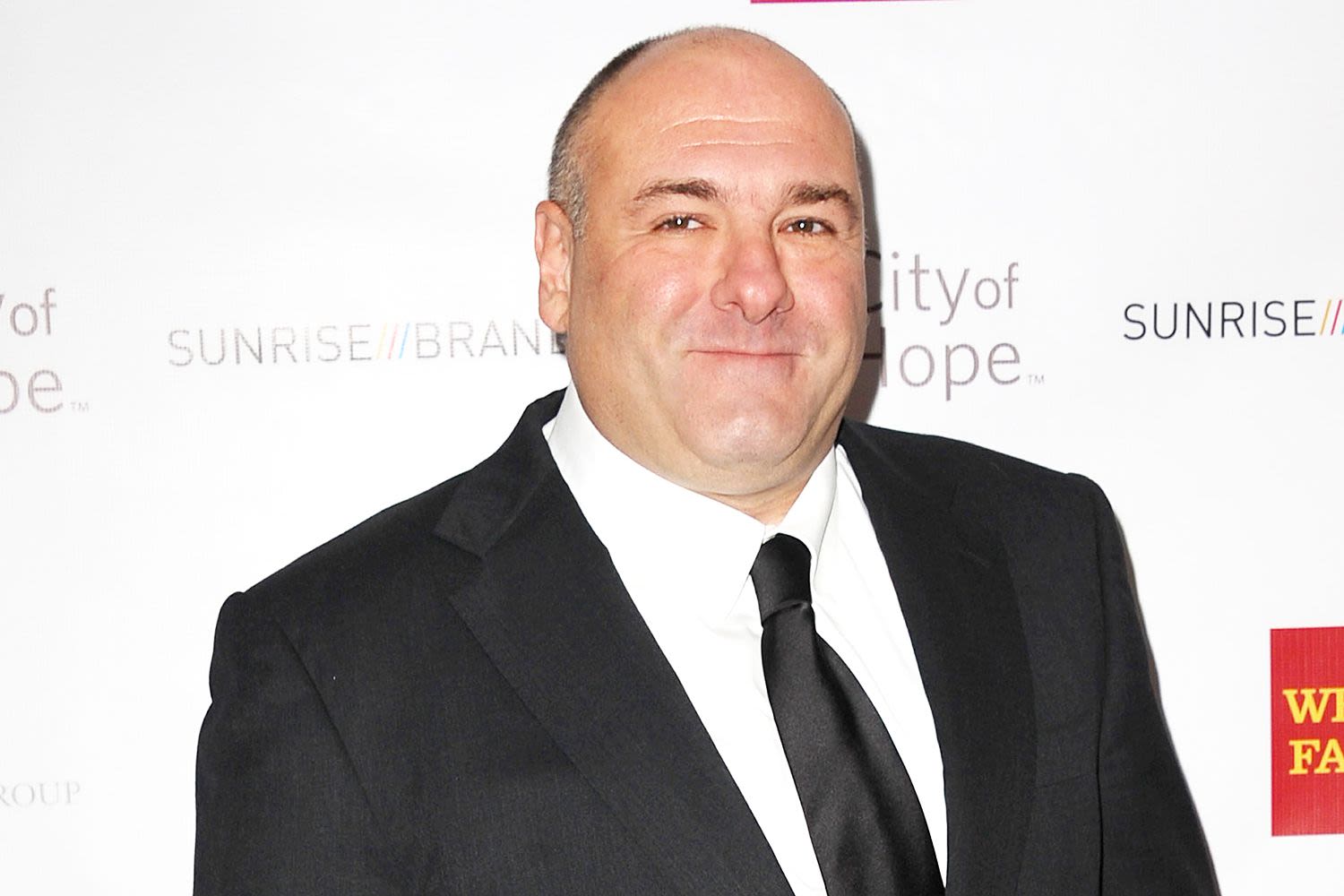 Former HBO Exec“ ”Says James Gandolfini Dared Him to 'Fire' the Actor from “The Sopranos ”After Staged Intervention