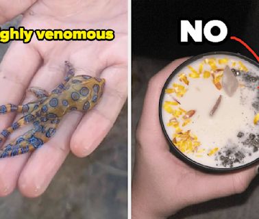 21 People Who Took A Photo Of Something That Could've Killed Them