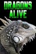 Dragons Alive