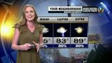FORECAST: Stronger showers with a potential for wind and hail