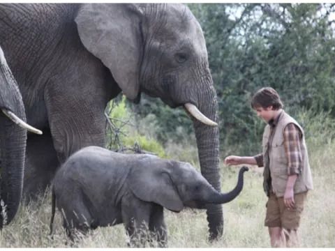 An Elephant’s Journey (2018) Streaming: Watch & Stream Online via Starz