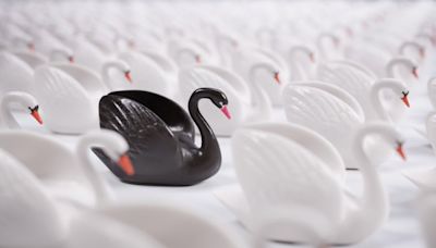Black Swan Fund Warns Not To Be Excited... Since It'll Be When "The Greatest Credit Bubble In ...