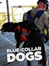 Blue-Collar Dogs