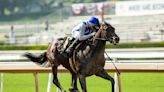 2nd horse based at Santa Anita dies leading up to Breeders' Cup