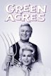 Green Acres (série de TV)