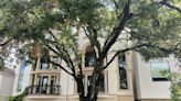 $1.6M Houston townhome boasts a tree in an inconvenient spot