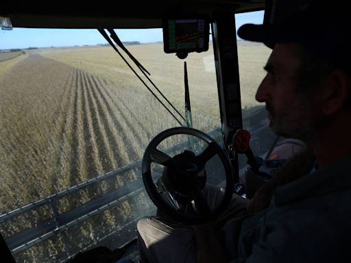 Agricultores argentinos demoram a exportar e atrapalham planos de Milei