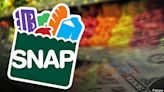 Scammers targeting Illinois SNAP recipients, stealing $4.5M in benefits