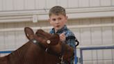 Gage County livestock showdown held Sunday