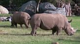 Free breakfast, free zoo tickets for these Fresno families