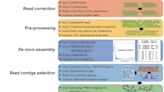 PMAT: Researchers develop a new tool for efficient assembly of plant mitochondrial genomes