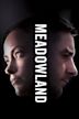 Meadowland (film)