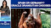 Spain vs Germany: Who Will Win the Euro Quarter-Final?