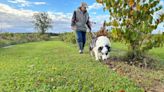 Eastern Ontario farmer discovers new variety of truffle