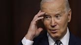 Dems disparage Biden as 'donkey in the room' during messaging meeting: report