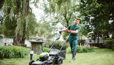 This lightweight lawn mower is a 'workhorse' — and it's on sale for under $250 on Amazon Canada