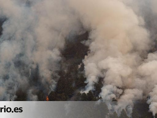 Tenerife custodia el monte con miedo a la sequía: la labor más allá de la emergencia