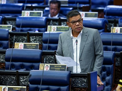 Saifuddin Nasution: Malaysia can’t ratify anti-torture convention due to country’s caning laws