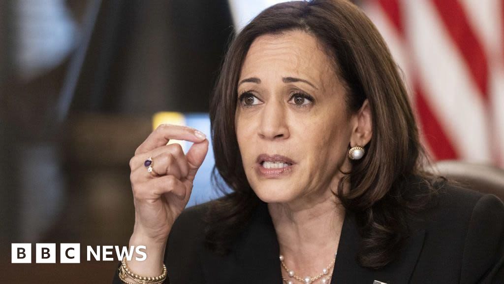 Is Kamala Harris a 'failed border czar'?