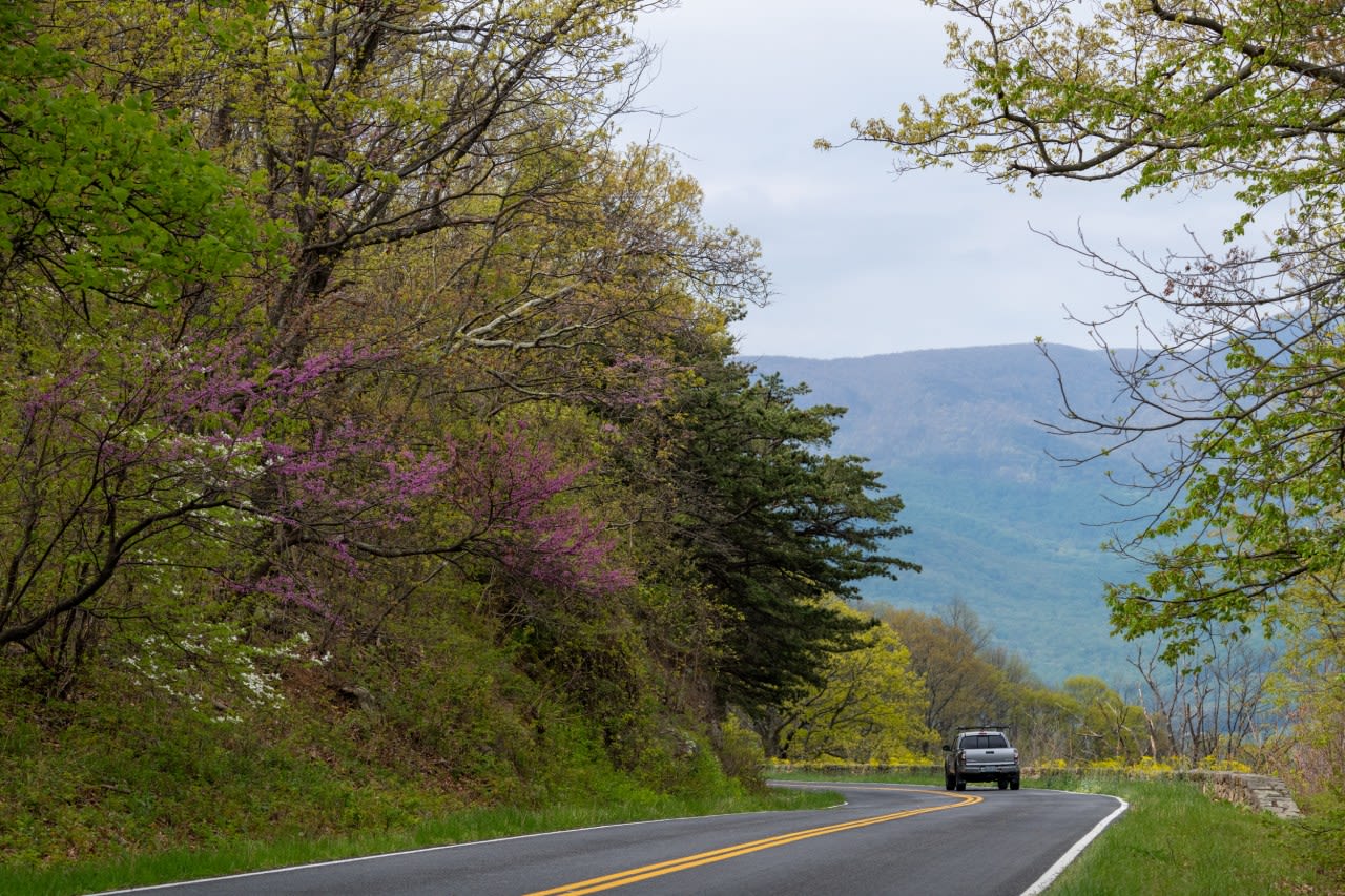 Shenandoah National Park to begin visitor survey to collect traffic congestion data