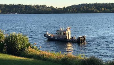 Woman still missing after falling into Lake Washington, one arrested