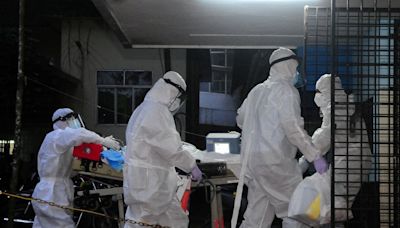 Qué es el virus Nipah que nuevamente pone en alerta al estado de Kerala, en India