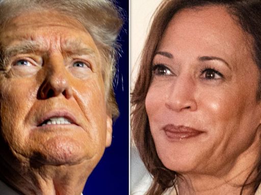 'I Approve This Message': Kamala Harris Instantly Uses Trump's Own Words Against Him