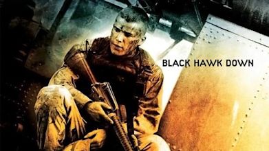 Black Hawk Down (film)