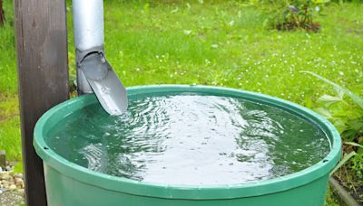 Récupération d'eau de pluie en 2024 : une amende record et 3 ans de prison si vous ne respectez pas les règles !