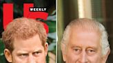 King Charles 'Harbors a Lot of Anger' Toward Prince Harry Over Camilla