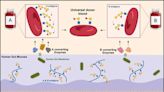 Researchers discover enzymes that open new path to universal donor blood