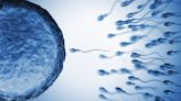 男性生育研究：全球男性精子數量下降的5個原因
