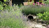 7 low-maintenance gravel garden ideas