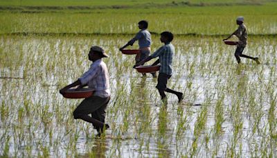 Budget Snapshot: Easing raw material prices to lighten India’s fertiliser subsidy bill