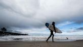 Cierran playa de California después de que tiburón derribó a surfista de su tabla