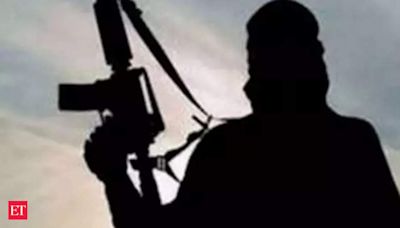 Congress expresses concern over increasing terror strikes - The Economic Times