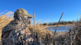 South Dakota lawmakers again deny more licenses for out-of-state waterfowl hunters
