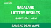 Nagaland Sambad Lottery Dear Wave Tuesday Winners, May 14 At 6 PM - Check Results