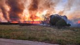 Un devastador incendio en Mallorca quema seis hectáreas
