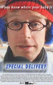 Special Delivery (2000 film)