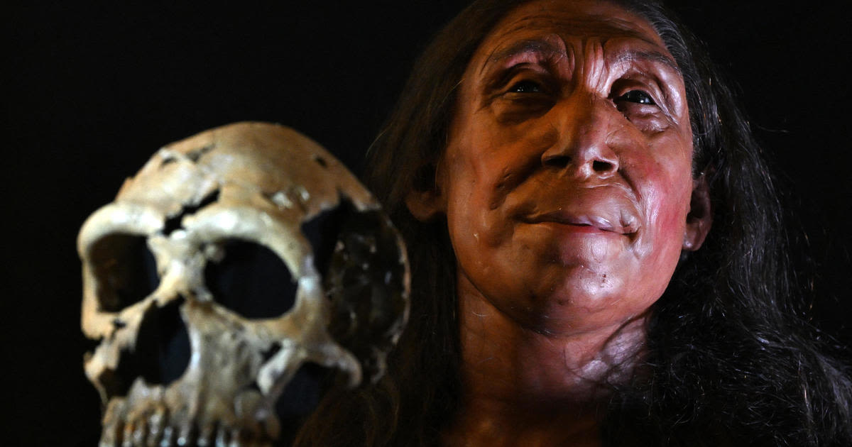 Fossil of Neanderthal child with Down syndrome fuels debate over species