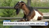 Local animal sanctuary offering new program for teens