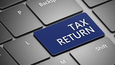 ITR filing 2024: Vital checks to ensure smooth filing of income tax returns