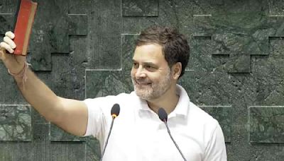 Rahul Gandhi takes the plunge, to be leader of Opposition in Lok Sabha